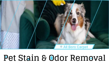 Stain & Odor Removal